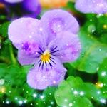 Profile Picture of Aaliyah Nealy Editz (@aaliyah_nealy_editz_) on Instagram