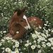 Profile Picture of Josephyne aubert (@josephyneaubert) on Pinterest