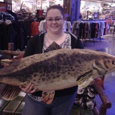 Profile Picture of Amanda Bradley-Kelly (@manders2433) on Twitter