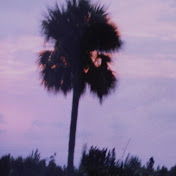 Nils Swanson - Youtube Profile Picture of Nils Swanson (@hipswan08) on Youtube