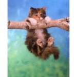 Profile Picture of Ricky Summers (@rickysummers75) on Instagram