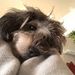 Profile Picture of Peter Helfer (@petrusdererste) on Pinterest