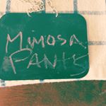 Profile Picture of Jesse Whitford (@mimosapants) on Instagram