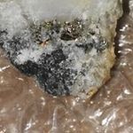 Profile Picture of Travis Wilkerson Sr. (@wilkersonsr.travis) on Instagram