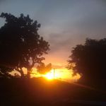 Profile Picture of Devaughn Rose (@devaughn.rose.14) on Instagram