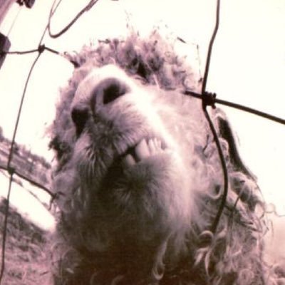 Profile Picture of Ian (@McKaysThoughts) on Twitter