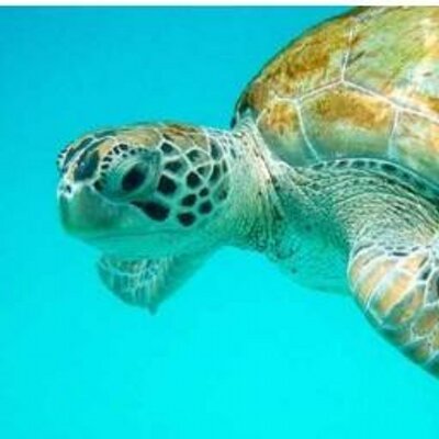 Profile Picture of Adam Correia (@Adam_ajc) on Twitter