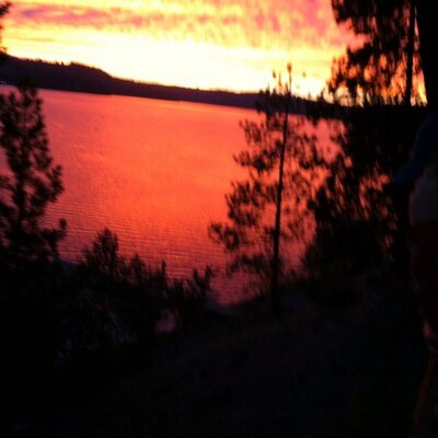 Profile Picture of Tracie Klein (@tracie_klein) on Twitter