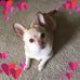 Profile Picture of Connie Mcdaniel (@connie.mcdaniel.94214) on Facebook