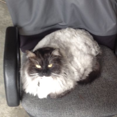 Profile Picture of Tyler Perrin (@Perrin2tyler) on Twitter