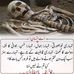 Profile Picture of Iman Ansari (@iman.ansari.14224) on Facebook