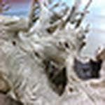 Profile Picture of Sacrotes42 (@sacrotes42) on Flickr