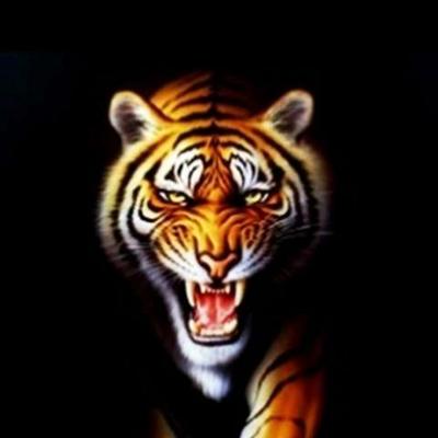 Profile Picture of Adam Lengyel (@hype_adamm) on Twitter