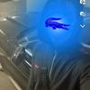 Profile Picture of Michael Murgu (@michael.murgu) on Tiktok