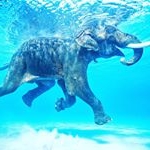 Profile Picture of Harpreet Singh (@traveler.marketeer) on Instagram