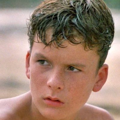 Profile Picture of Ralph (@RalphLordTheFly) on Twitter