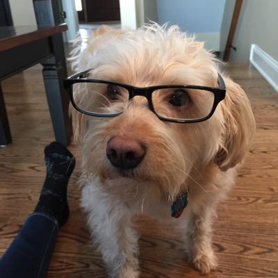 Profile Picture of Jodi Doerring (@jediwarrior22) on Twitter