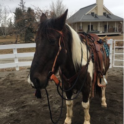 Profile Picture of Jay Hedrick (@JayhedrickJay) on Twitter