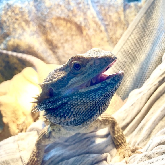 Profile Picture of Markie Hickernell (@markiemarilyn) on Poshmark