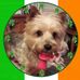 Profile Picture of Adam Tindall (@adam.tindall.37) on Facebook