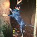 Profile Picture of Tony Clevenger (@tony.clevenger.77) on Facebook