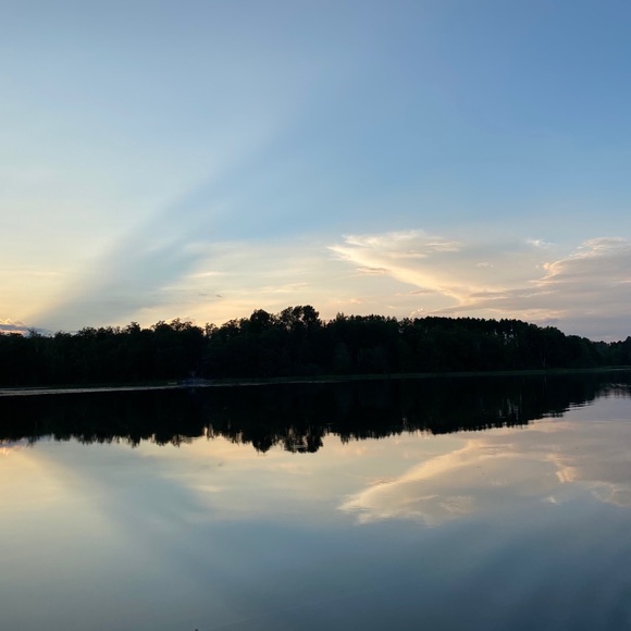 Profile Picture of ! dani Bierwerth (@dd_flowers) on Poshmark