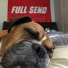 Profile Picture of Aaron Sterling (@@a.sterling00) on Tiktok