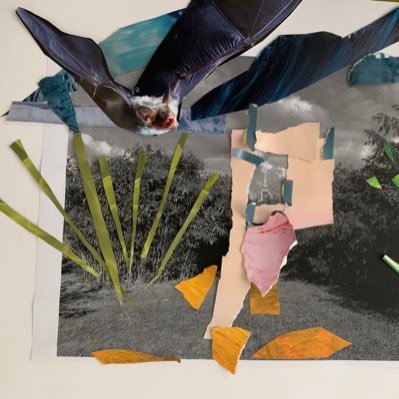 Profile Picture of Nathan Schafer (@nathanschafer16) on Twitter