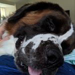 Profile Picture of Gary Baldyga (@gdigga) on Instagram