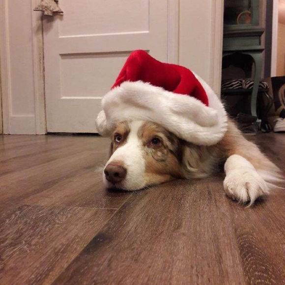 Profile Picture of Lance Nelson (@lncenlsn) on Poshmark