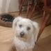 Profile Picture of Henry Carlton (@henry.carlton.79) on Facebook
