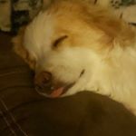 Profile Picture of Tom Sitton (@tom.sitton.754) on Instagram