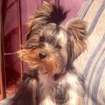 Profile Picture of Bertina Walker (@bertinab1walyn) on Instagram