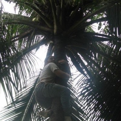 Profile Picture of Aaron Rutkowski (@ski5384) on Twitter