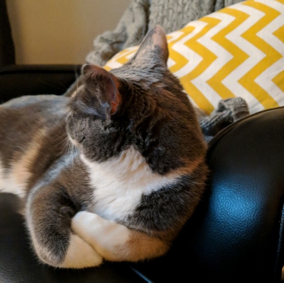 Profile Picture of Danielle Wieckowski (@dtodd0802) on Poshmark