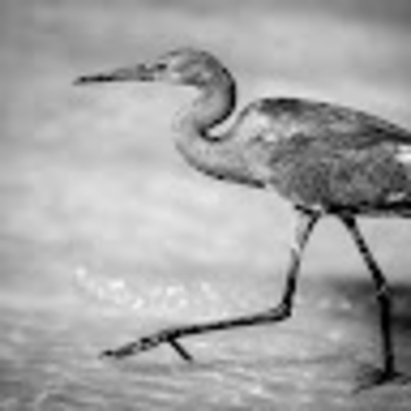 Profile Picture of Michael Broome (@broomeinv) on Poshmark