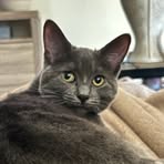 Profile Picture of Carrie Noteboom (@carrie.noteboom.52) on Facebook