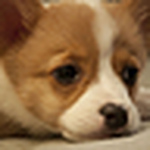 Profile Picture of SF Nancy (@SF Nancy) on Flickr