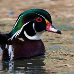 Profile Picture of John Watson (@johntwatson1946) on Flickr