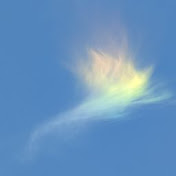 Profile Picture of John Hsu (@hsujohnhsu) on Youtube