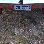 Profile Picture of Patrick Trout (@patrick.trout.927) on Instagram