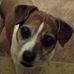 Profile Picture of Becky SuttonZerr (@becky.suttonzerr) on Facebook