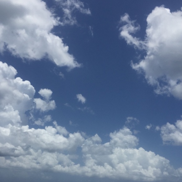 Profile Picture of Saai Fox (@saaibafox500) on Poshmark