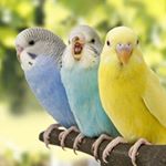 Profile Picture of Andrew Massengill (@massengill.andrew) on Instagram