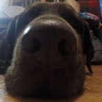 Profile Picture of Travis Holst (@travis-holst-1) on Quora