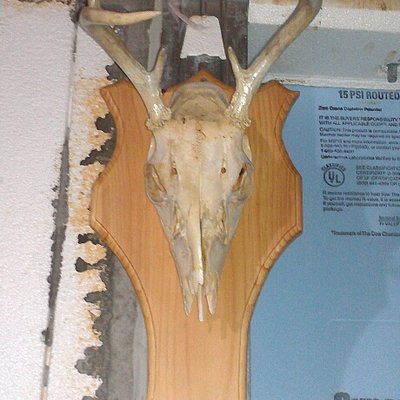 Profile Picture of Douglas C. Miner (@Minerdouglas013) on Twitter