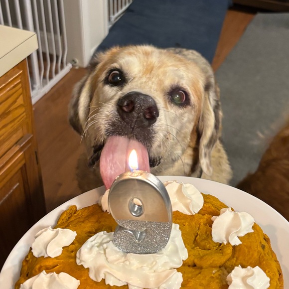 Profile Picture of Olivia Card (@oliviacardd) on Poshmark