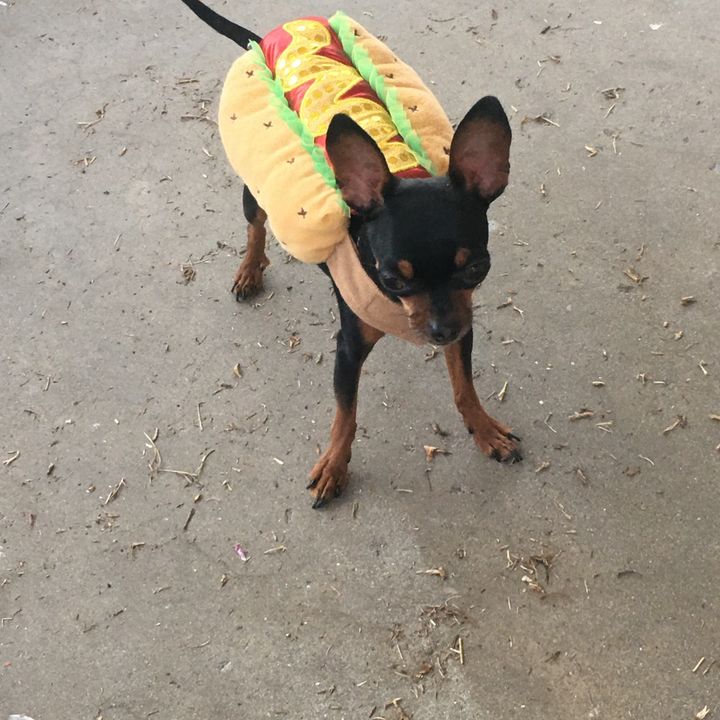 Profile Picture of Richard Ellison (@richardellison15) on Tiktok