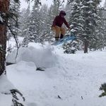 Profile Picture of Ellen Hoffman (@e_hoff234) on Instagram