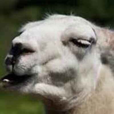 Profile Picture of Coombey (@ThomasCoombe) on Twitter